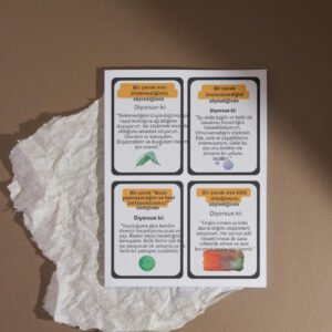 Propriyosepsiyon ve Vestibüler Duygusal Düzenleme Kart seti(DİJİTALDİR)