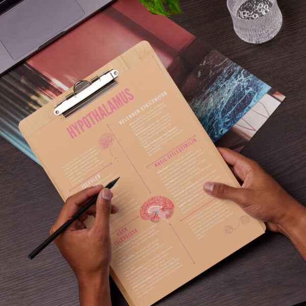 BEYNİMİZE DAHA YAKINDAN BAKALIM(dijitaldir)