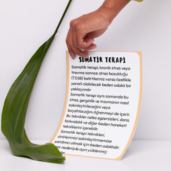 TRAVMA VE ÖFKEDE SOMATİK TERAPİ EGZERSİZLERİ(DİJİTALDİR)