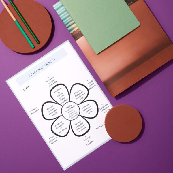 BDT KISIR ÇİÇEK FORMÜLASYONU(DİJİTALDİR)