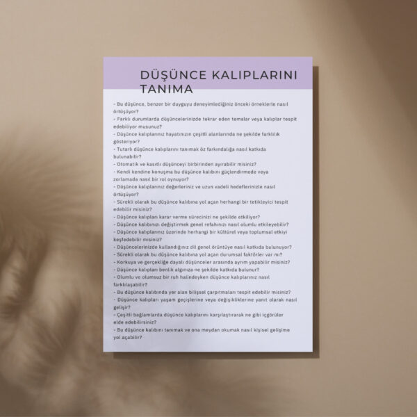 BDT DE SOKRATİK SORGULAMA(DİJİTALDİR)