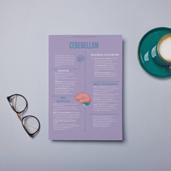 BEYNİMİZE DAHA YAKINDAN BAKALIM(dijitaldir)