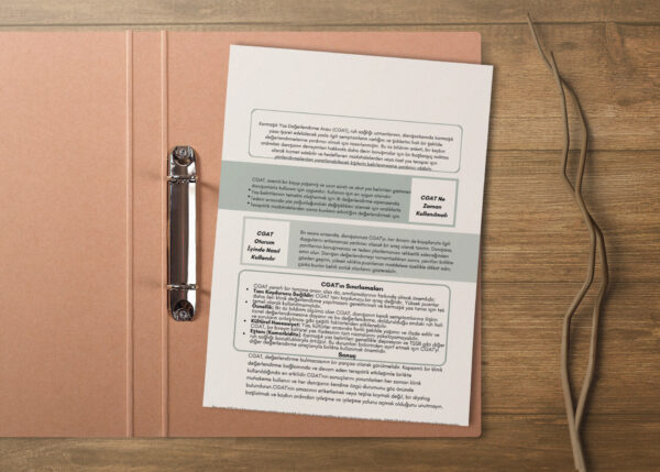 YAS TERAPİSİ DEĞERLENDİRME ÖLÇEKLERİ(DİJİTALDİR)