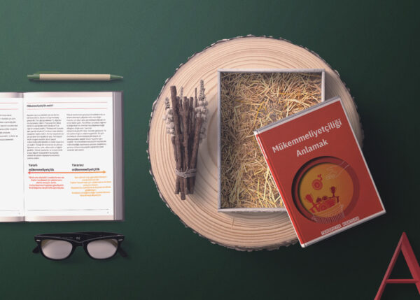 Mükemmeliyetçiliği Anlamak(PDF DİR)