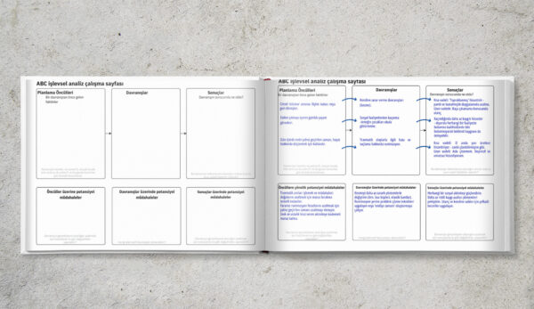 Müdahale Planlaması ile Fonksiyonel Analiz(DİJİTALDİR)