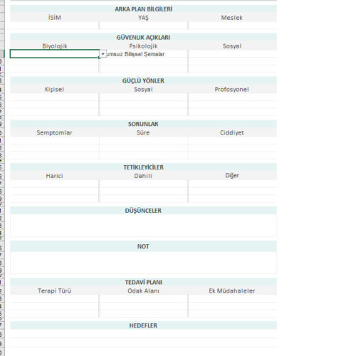 EXCEL DİNAMİK VAKA FORMÜLASYONU(TEKRAR İSTEĞİNİZE GÖRE DÜZENLEYEBİLİRSİNİZ)