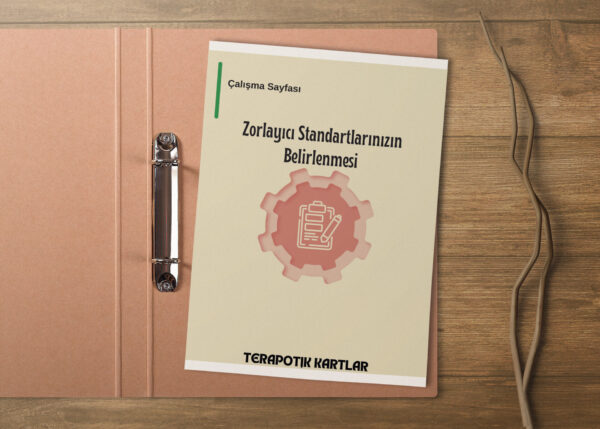 ZORLAYICI STANDARTLARINIZI KEŞFEDİN(PDF DİR)