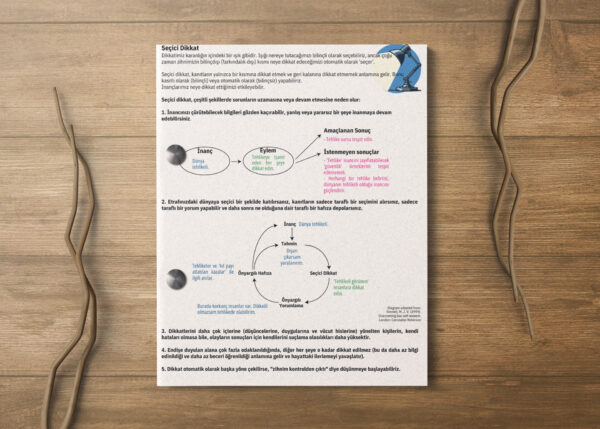 SEÇİCİ DİKKAT(PDF DİR)