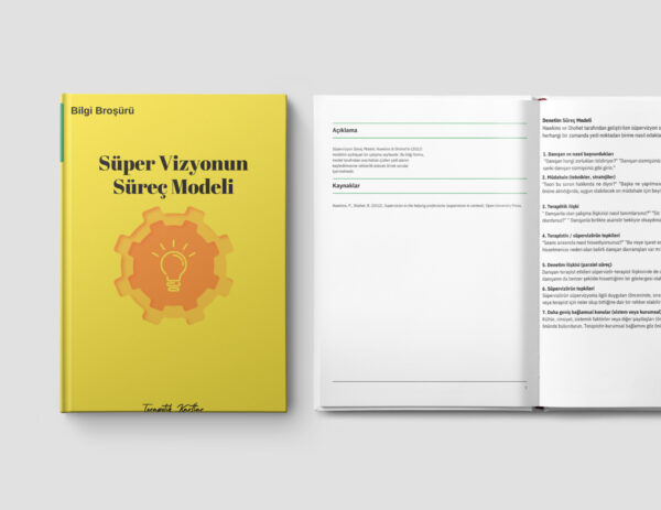 Süper Vizyonun Süreç Modeli(pdf dir)