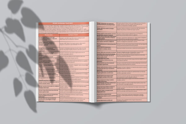 BDT TERAPİ MÜDAHALE LİSTESİ(PDF DİR)