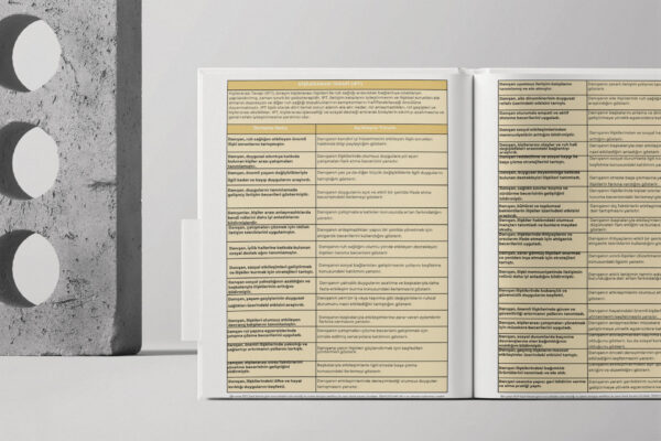 Kişilerarası Terapi (PDF DİR)