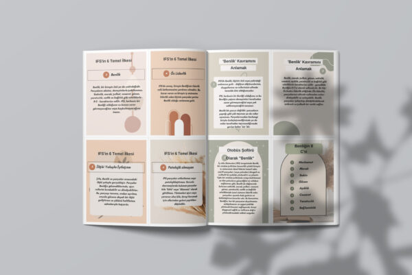 İÇSEL AİLE SİSTEMLERİ (IFS) TERAPİ KART SETİ/PDF DİR