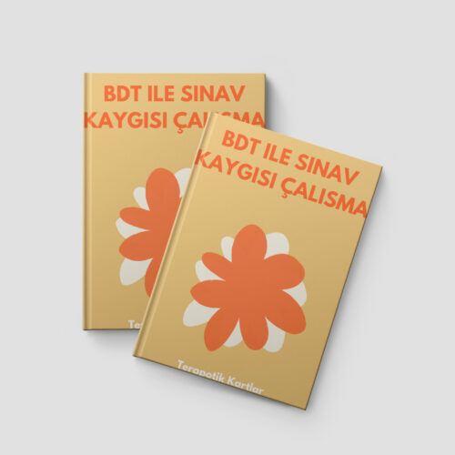 BDT ILE SINAV KAYGISI ÇALISMA(PDF DİR)