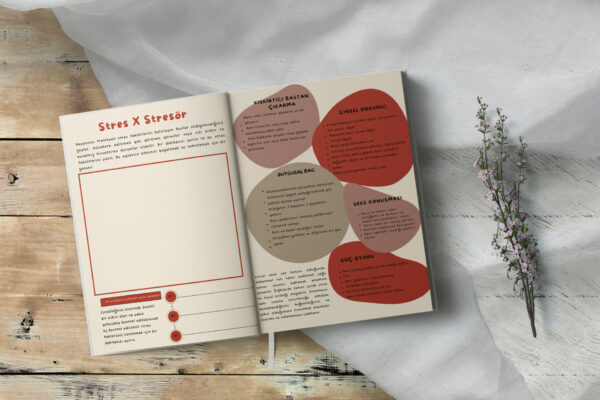 Kadınlar için Kapsamlı Seks Klavuzu(pdf dir)