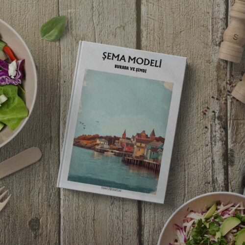 ŞEMA MODELİ/BURADA VE ŞİMDİ(PDF DİR)