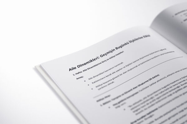 Aile Dinamikleri Geçmişin Bugünkü İlişkilerine Etkisi(PDF DİR)