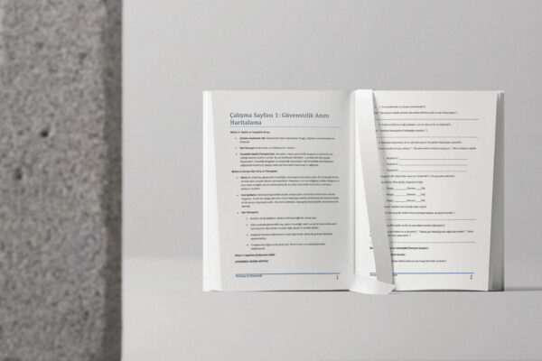 Paranoya Ve Güvensizlik 25 Çalışma Egzersizi(PDF DİR)