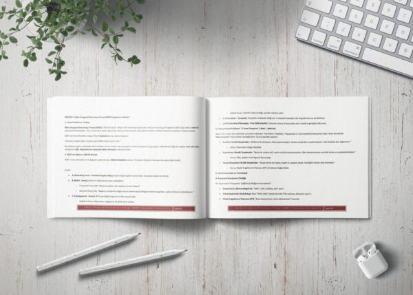 Akılcı Duygusal Davranışçı Terapi (REBT) Uygulama Protokolleri(PDF DİR)